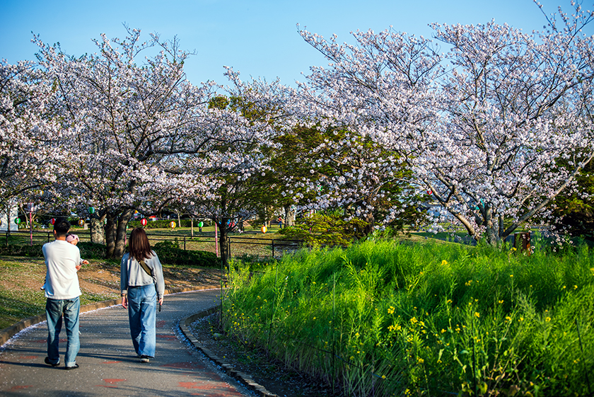 袖ケ浦公園32