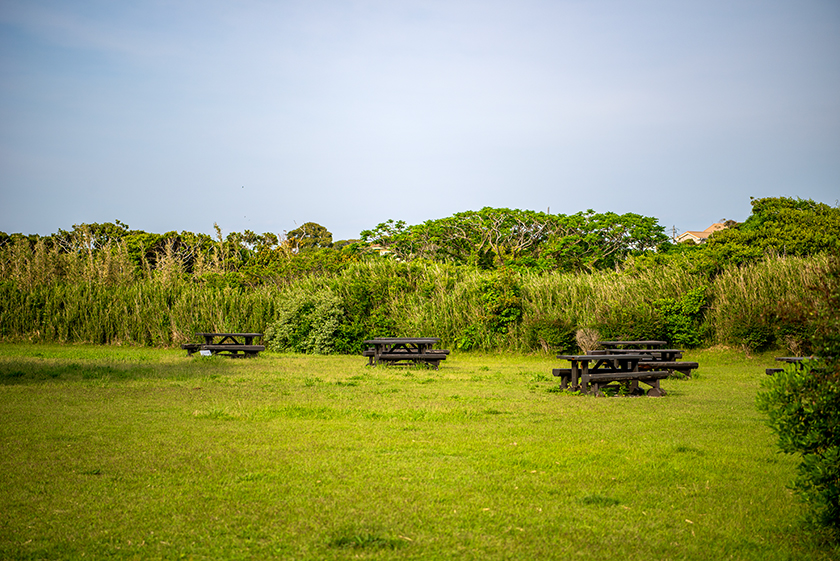 荒崎公園06