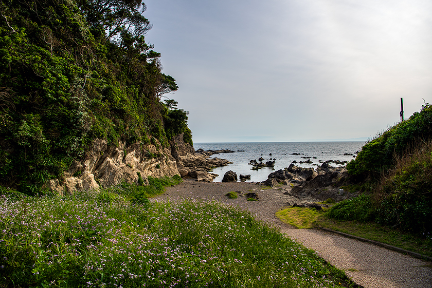 荒崎公園13