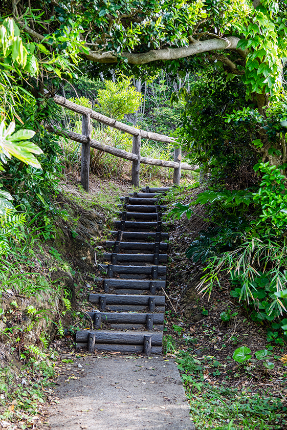 荒崎公園15