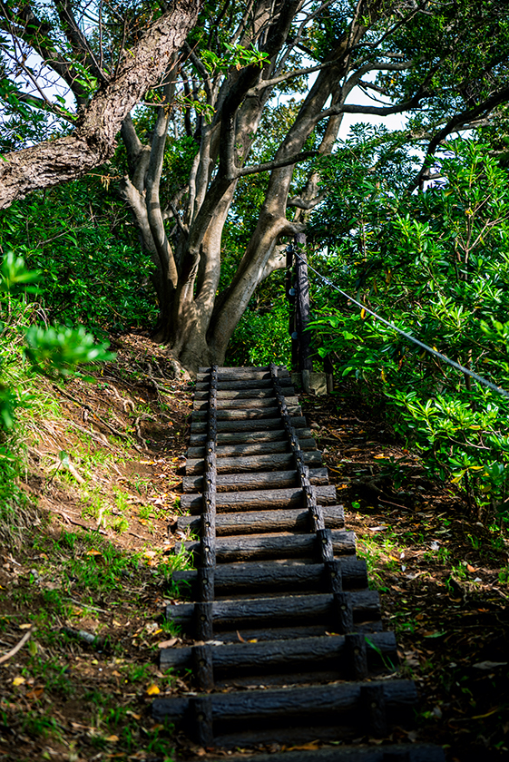 荒崎公園18