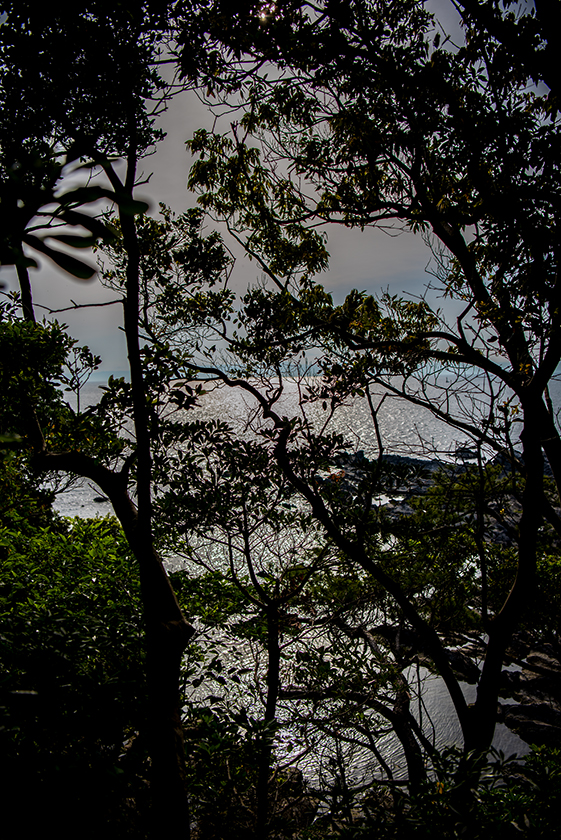 荒崎公園19