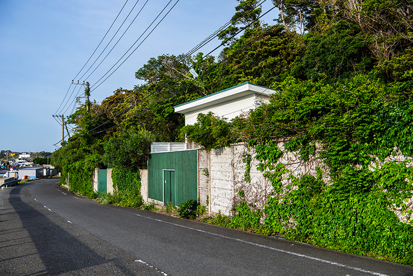 荒崎公園56
