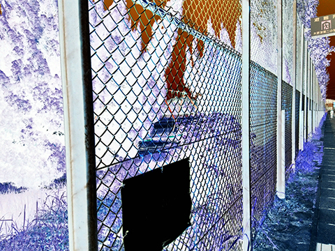 KODAK PIXPRO C1_10