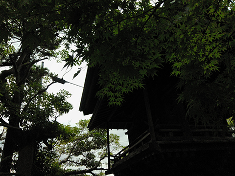 KODAK PIXPRO C1_18