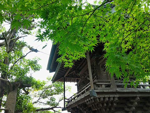 KODAK PIXPRO C1_19