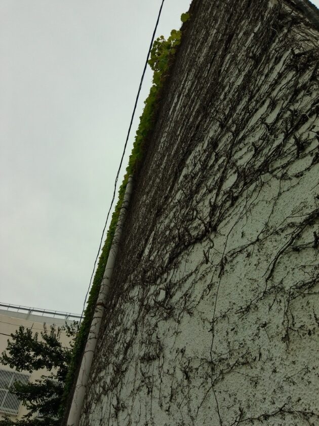 C1-市内散歩06