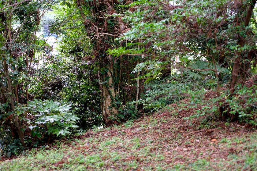 久留里神社19