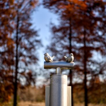 耐えきれずにOSのダウングレードをやった ＆ 目的が違う写真家を横目で見ながら都内にある自然の中で散歩撮影（1）