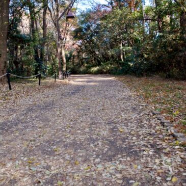 遅くなりましたが2026年あけましておめでとうございます ＆ 目的が違う写真家を横目で見ながら都内にある自然の中で散歩撮影（3）