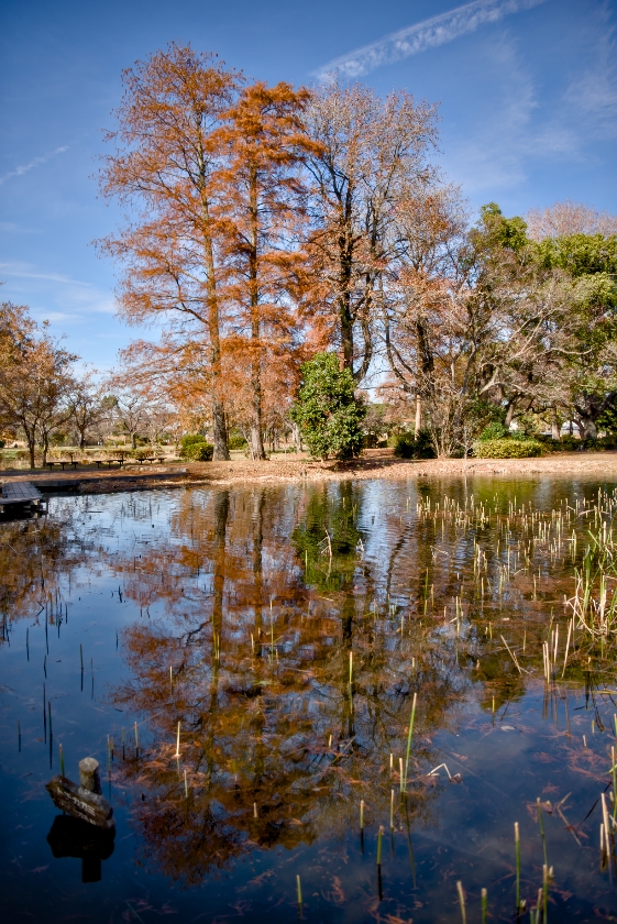 水元公園72