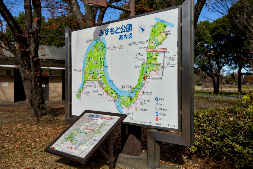 水元公園94