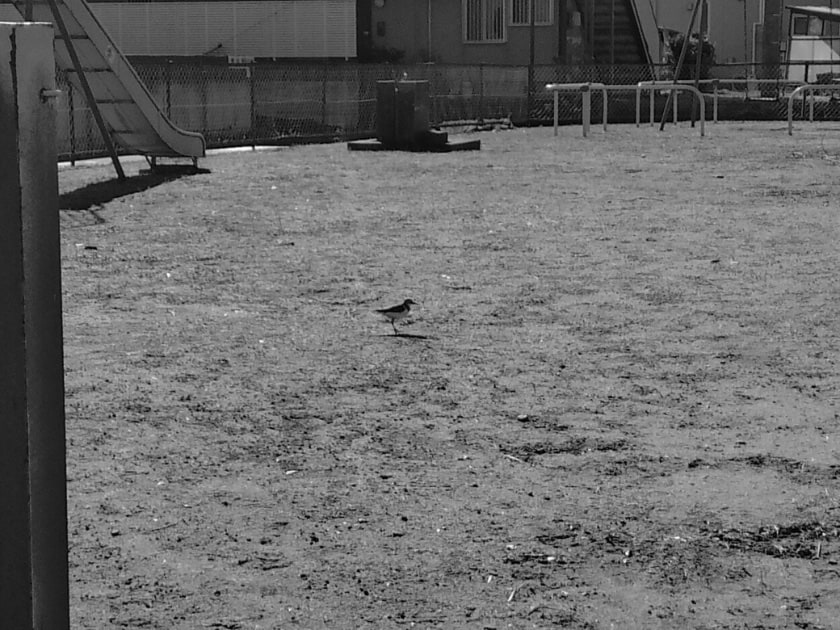 モノクロ散歩10