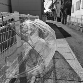 モノクロ散歩28