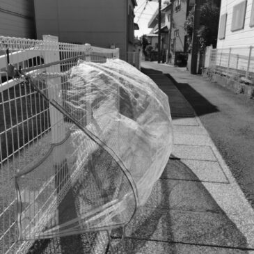 ことば、難しいけれど面白い ＆ KODAK PIXPRO C1の白黒モードでご近所散歩2（2）