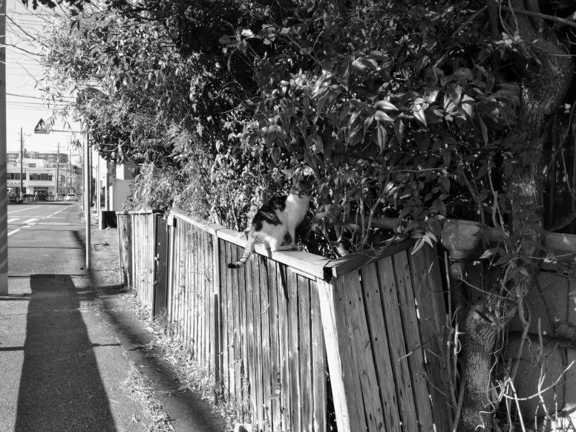 モノクロ散歩40