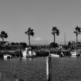 モノクロ散歩50