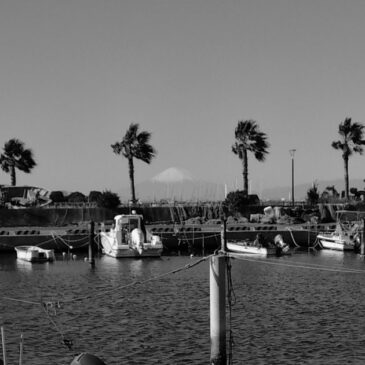 最近、XのTLの景色が変わった件 ＆ KODAK PIXPRO C1の白黒モードでご近所散歩2（3）