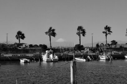 モノクロ散歩50