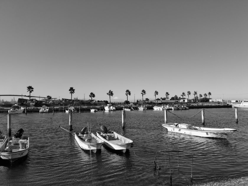 モノクロ散歩51